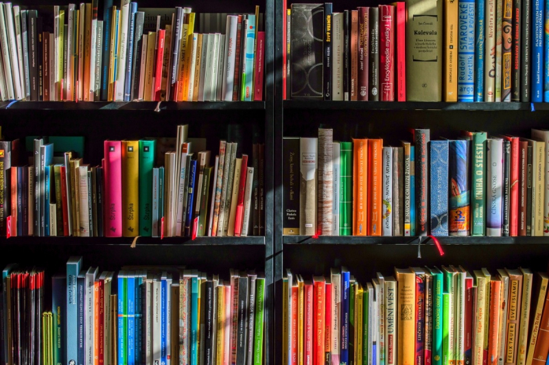 boutique-REGUSSE-min_books_bookstore_book_reading_shop_writer_sale_books_read-822866